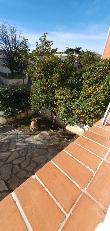 Appartement Entier Au Dessus De Villa, Climatisation Reversible Poele A Bois Tres Chaleureux , Wi Fi Parking Privee Gratuit Situation 500 M, Plage Et Centre Ville Санарі-сюр-Мер Екстер'єр фото